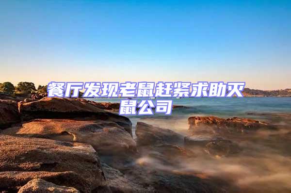 餐廳發現老鼠趕緊求助滅鼠公司