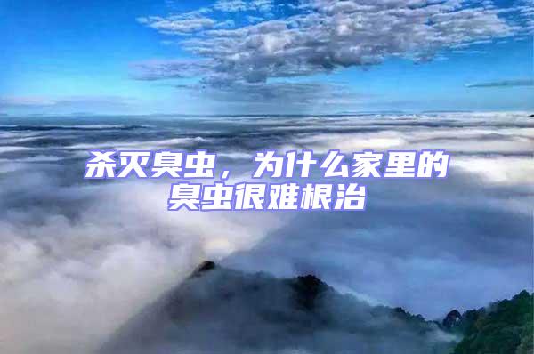 殺滅臭蟲(chóng)，為什么家里的臭蟲(chóng)很難根治