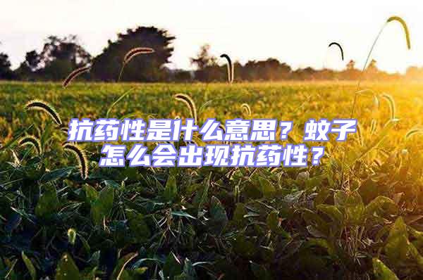 抗藥性是什么意思？蚊子怎么會出現抗藥性？