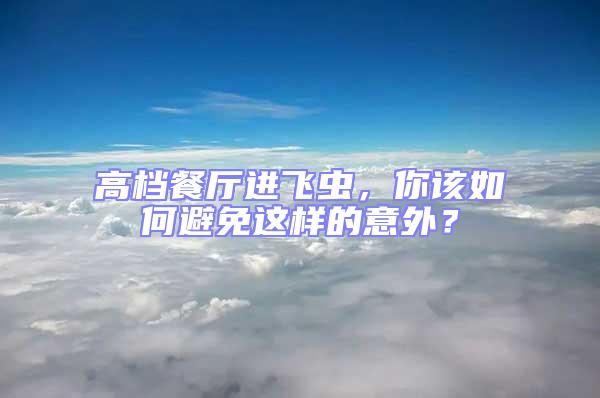 高檔餐廳進飛蟲，你該如何避免這樣的意外？