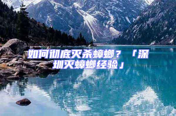 如何徹底滅殺蟑螂？「深圳滅蟑螂經驗」