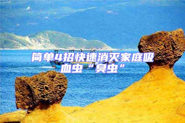 簡(jiǎn)單4招快速消滅家庭吸血蟲“臭蟲”