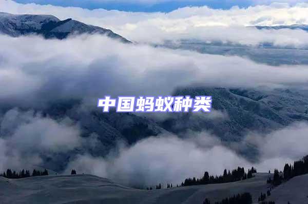 中國螞蟻種類