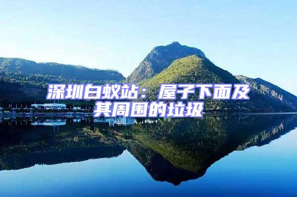深圳白蟻站：屋子下面及其周?chē)睦?/></p>
									<p style=