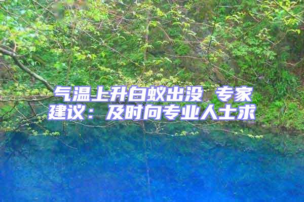 氣溫上升白蟻出沒 專家建議：及時(shí)向?qū)I(yè)人士求