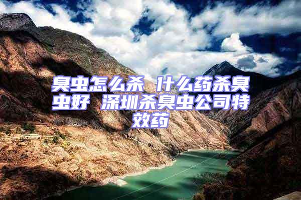 臭蟲(chóng)怎么殺 什么藥殺臭蟲(chóng)好 深圳殺臭蟲(chóng)公司特效藥