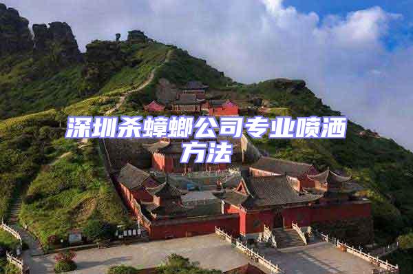深圳殺蟑螂公司專業噴灑方法