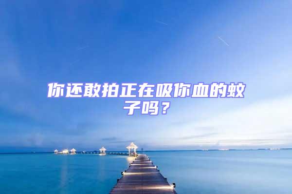 你還敢拍正在吸你血的蚊子嗎？