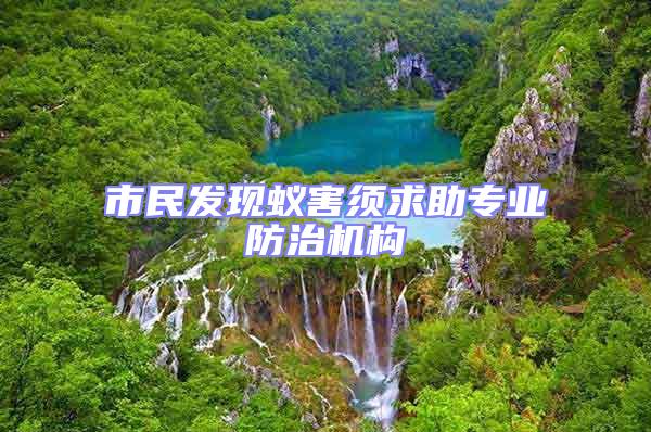 市民發(fā)現(xiàn)蟻害須求助專業(yè)防治機構