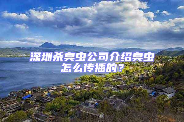 深圳殺臭蟲公司介紹臭蟲怎么傳播的？