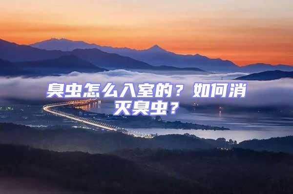 臭蟲怎么入室的？如何消滅臭蟲？