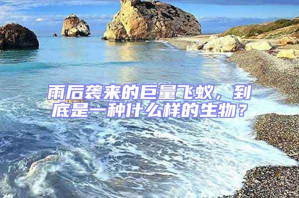 雨后襲來的巨量飛蟻，到底是一種什么樣的生物？