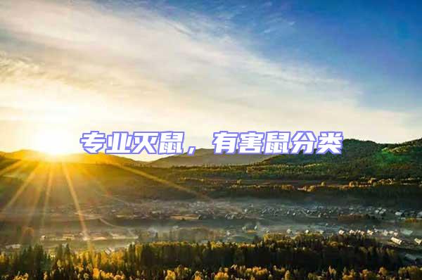 專業滅鼠，有害鼠分類