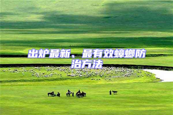 出爐最新、最有效蟑螂防治方法