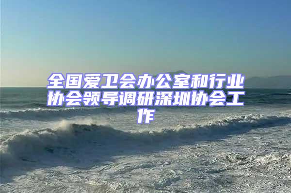 全國愛衛會辦公室和行業協會領導調研深圳協會工作