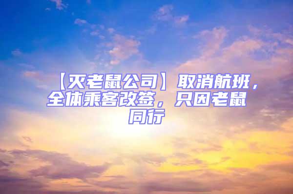 【滅老鼠公司】取消航班,全體乘客改簽,只因老鼠同行