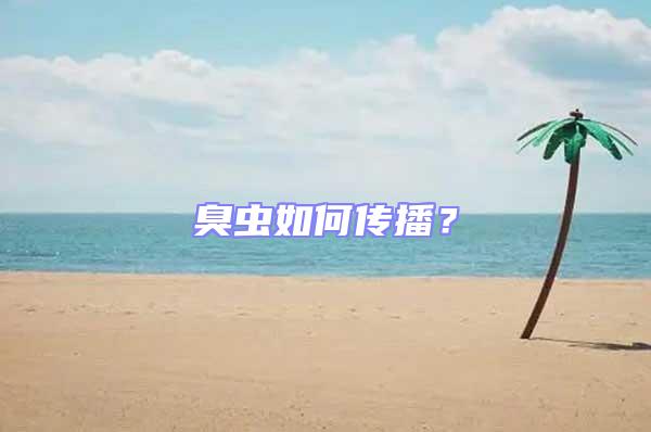 臭蟲如何傳播？