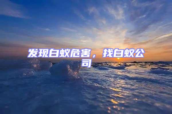 發(fā)現(xiàn)白蟻危害，找白蟻公司
