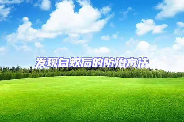 發現白蟻后的防治方法
