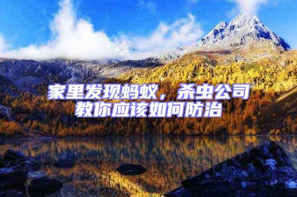 家里發(fā)現(xiàn)螞蟻，殺蟲公司教你應(yīng)該如何防治