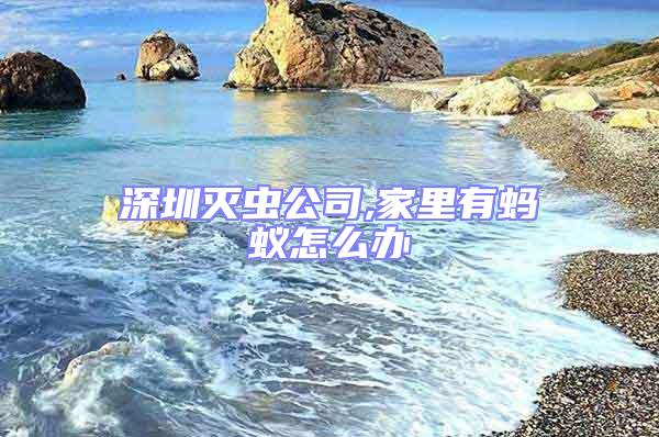 深圳滅蟲(chóng)公司,家里有螞蟻怎么辦