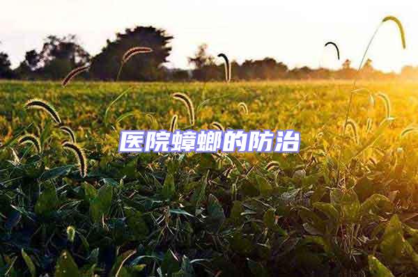醫(yī)院蟑螂的防治