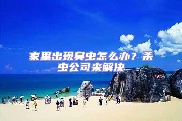 家里出現(xiàn)臭蟲怎么辦？殺蟲公司來解決