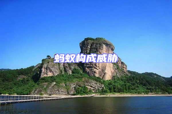 螞蟻構(gòu)成威脅