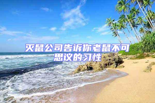 滅鼠公司告訴你老鼠不可思議的習(xí)性