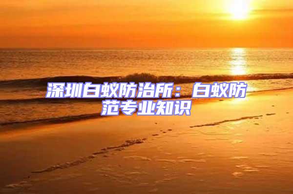 深圳白蟻防治所：白蟻防范專業(yè)知識(shí)