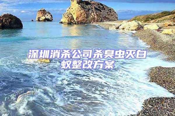 深圳消殺公司殺臭蟲(chóng)滅白蟻整改方案