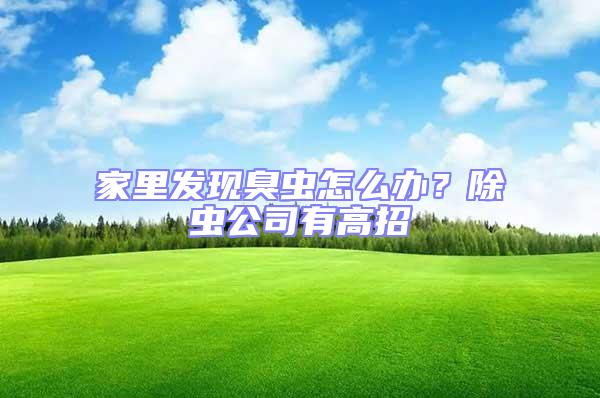 家里發(fā)現(xiàn)臭蟲怎么辦？除蟲公司有高招