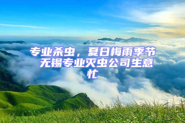 專業(yè)殺蟲，夏日梅雨季節(jié) 無錫專業(yè)滅蟲公司生意忙