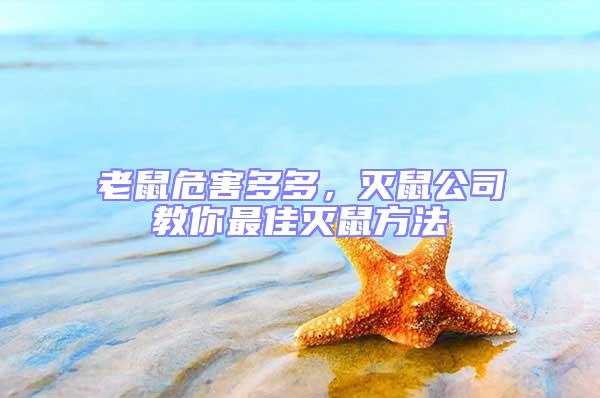 老鼠危害多多，滅鼠公司教你最佳滅鼠方法