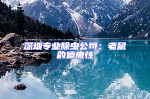 深圳專業(yè)除蟲公司：老鼠的適應(yīng)性