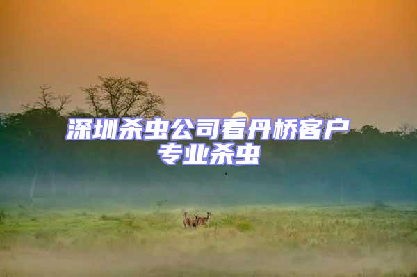 深圳殺蟲公司看丹橋客戶專業殺蟲