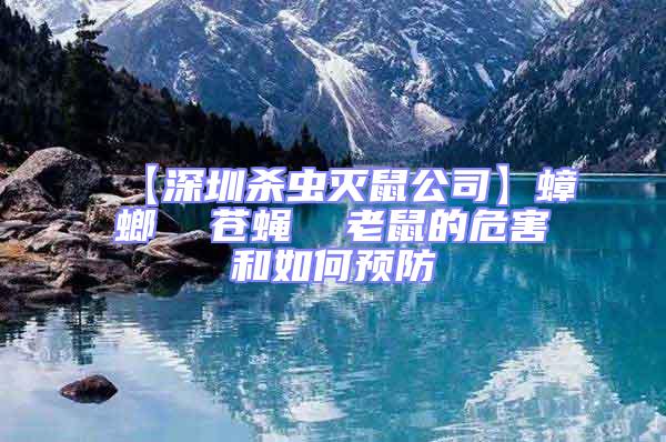 【深圳殺蟲滅鼠公司】蟑螂  蒼蠅  老鼠的危害和如何預(yù)防