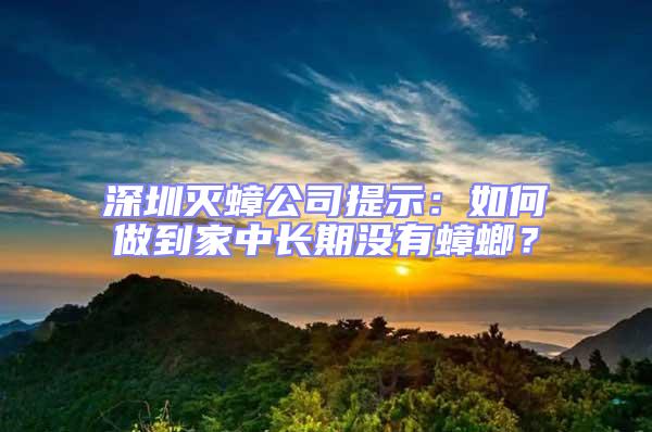 深圳滅蟑公司提示：如何做到家中長期沒有蟑螂？