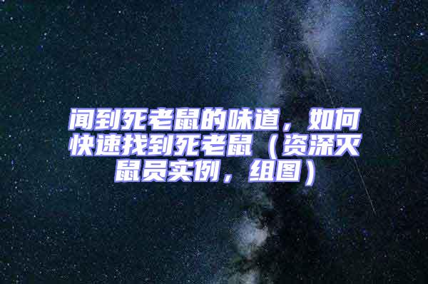 聞到死老鼠的味道，如何快速找到死老鼠（資深滅鼠員實(shí)例，組圖）