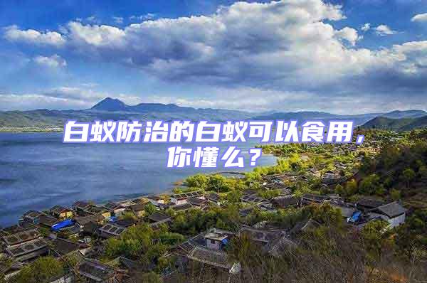 白蟻防治的白蟻可以食用，你懂么？