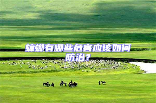 蟑螂有哪些危害應(yīng)該如何防治？