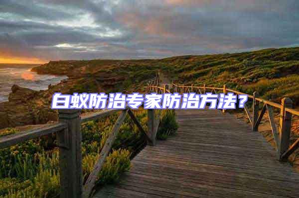 白蟻防治專家防治方法？