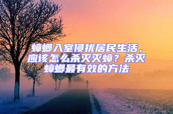 蟑螂入室侵擾居民生活，應該怎么殺滅滅蟑？殺滅蟑螂最有效的方法