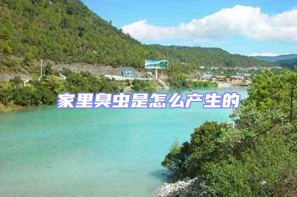 家里臭蟲(chóng)是怎么產(chǎn)生的