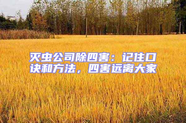 滅蟲公司除四害：記住口訣和方法，四害遠(yuǎn)離大家