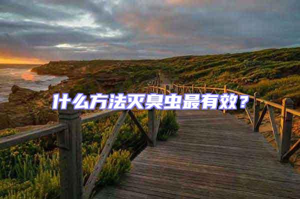 什么方法滅臭蟲最有效？
