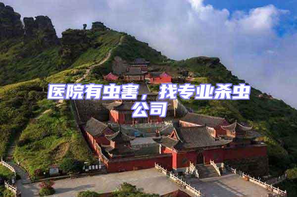 醫院有蟲害，找專業殺蟲公司