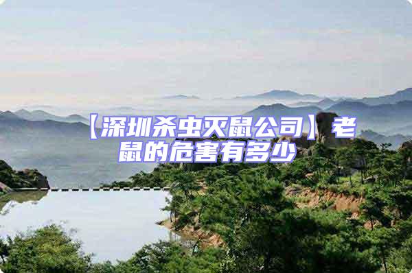 【深圳殺蟲(chóng)滅鼠公司】老鼠的危害有多少