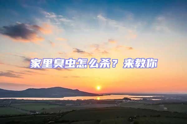 家里臭蟲怎么殺？來教你