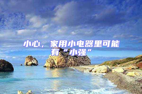 小心，家用小電器里可能有“小強”